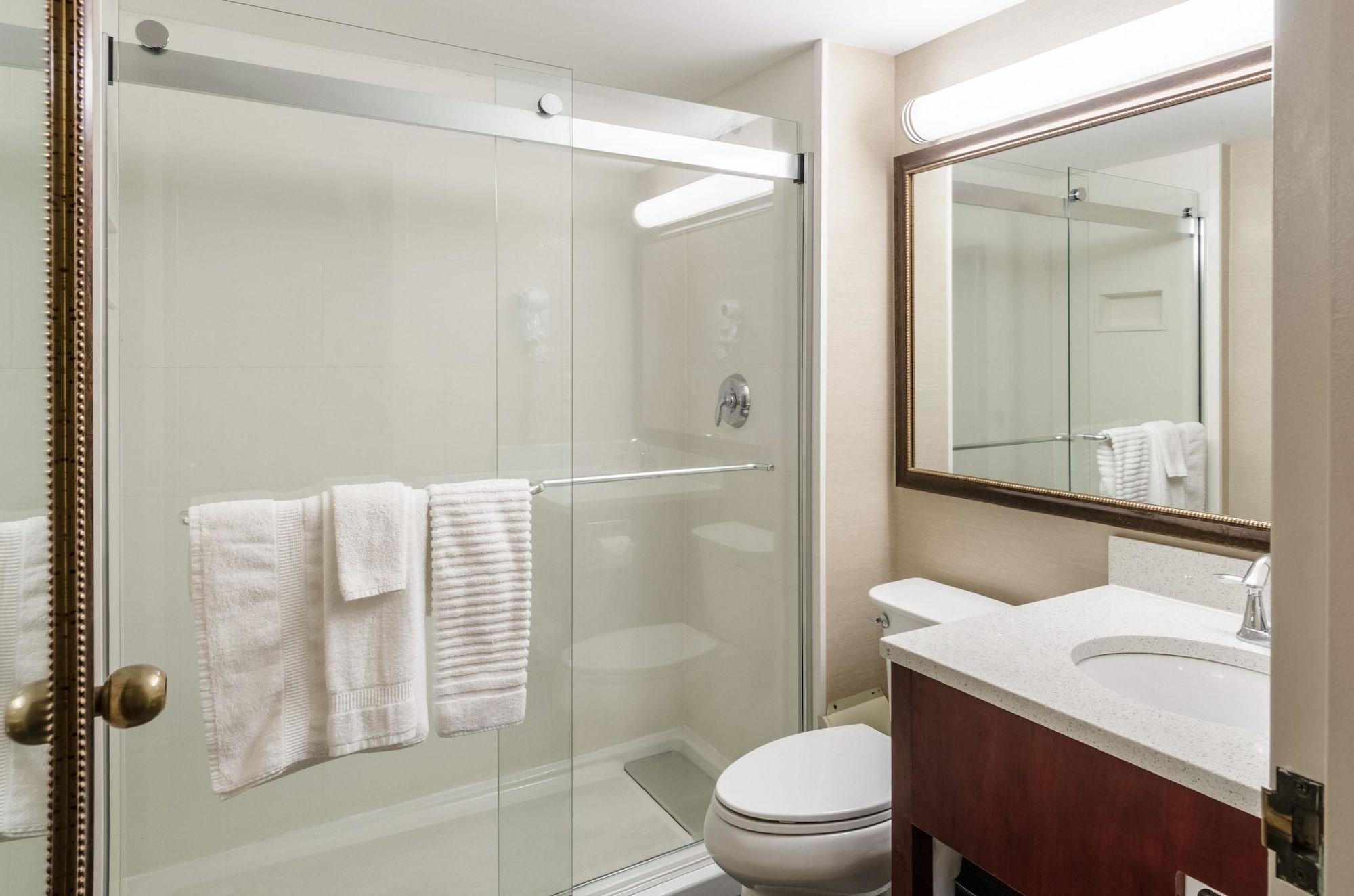 Comfort Inn & Suites West Springfield Zewnętrze zdjęcie