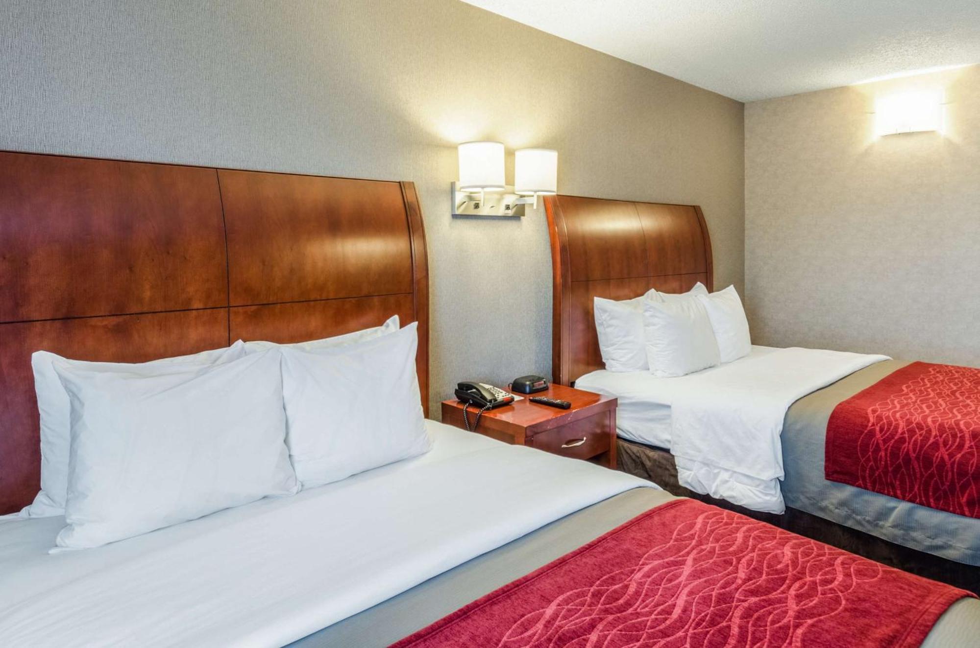 Comfort Inn & Suites West Springfield Zewnętrze zdjęcie
